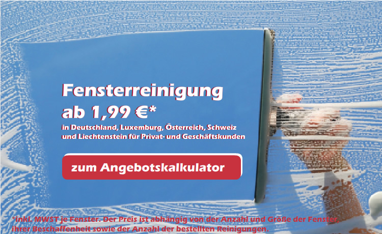 Fensterreinigung